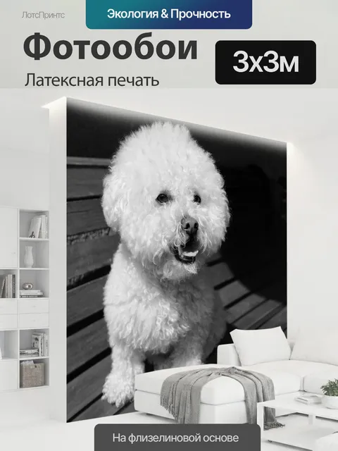 300 × 300 см · Латексная печать