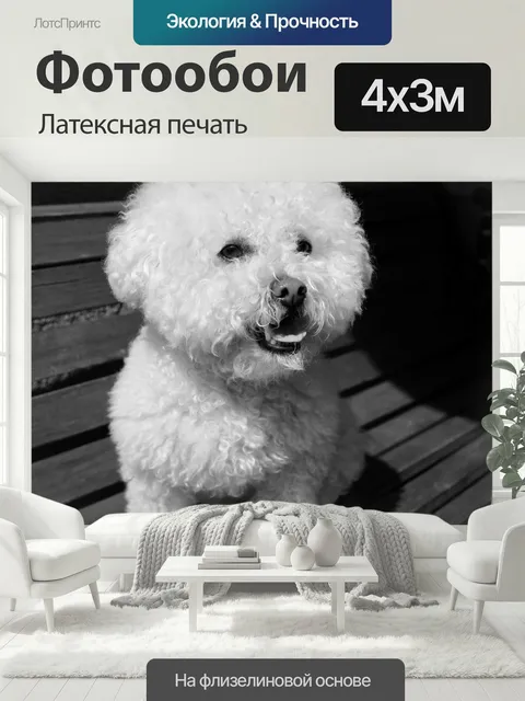 400 × 300 см · Латексная печать