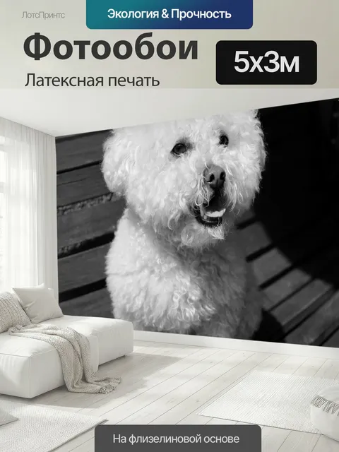 500 × 300 см · Латексная печать