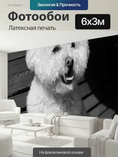 600 × 300 см · Латексная печать