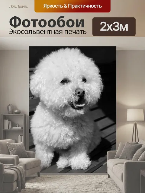 200 × 300 см · Экосольвентная печать