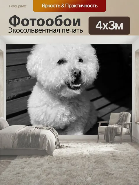 400 × 300 см · Экосольвентная печать