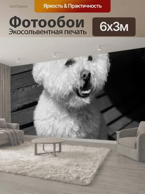 600 × 300 см · Экосольвентная печать