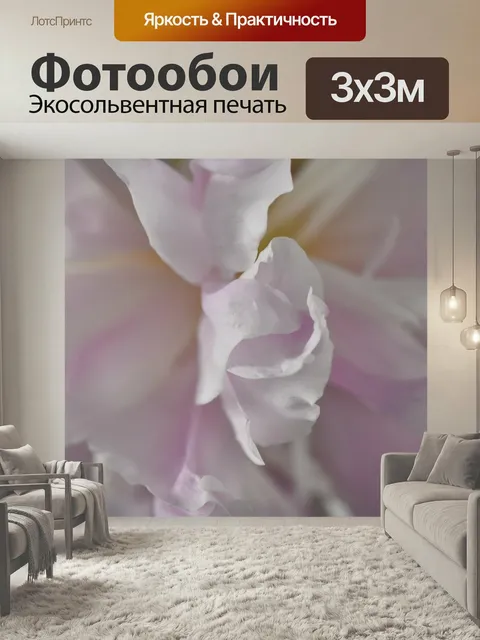Фотообои Розовый, пион, закрывать