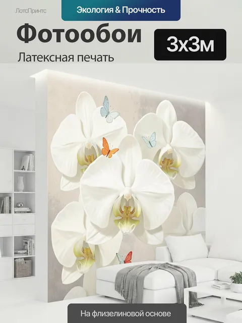 300 × 300 см · Латексная печать