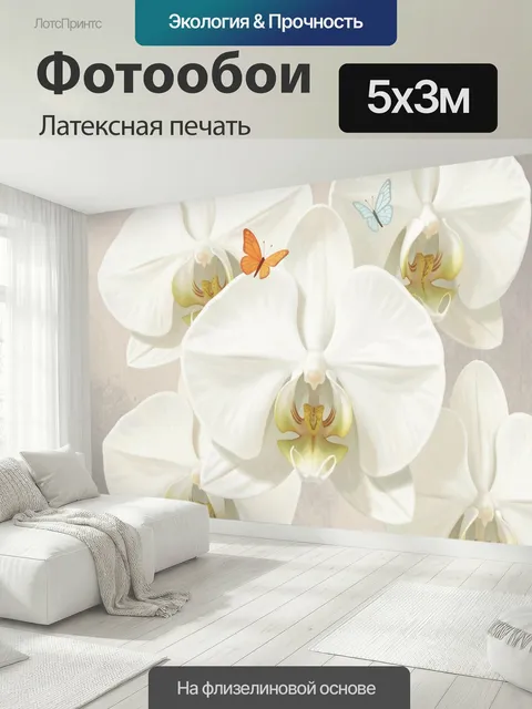 500 × 300 см · Латексная печать