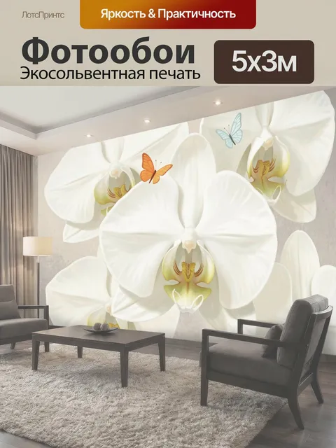 500 × 300 см · Экосольвентная печать