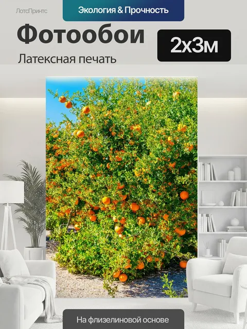 200 × 300 см · Латексная печать