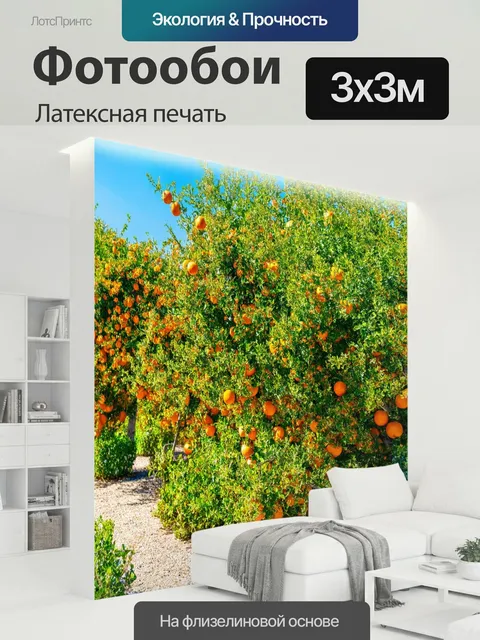 300 × 300 см · Латексная печать