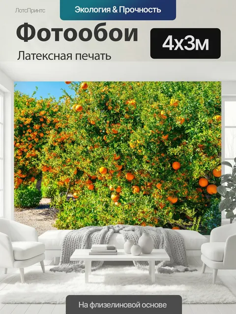 400 × 300 см · Латексная печать