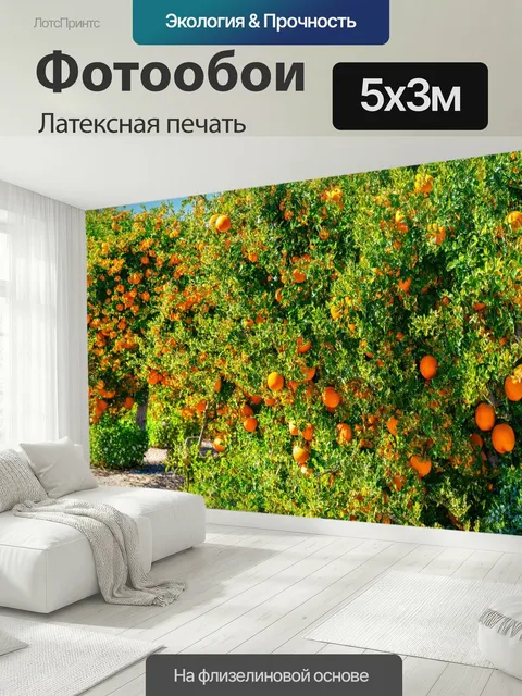 500 × 300 см · Латексная печать