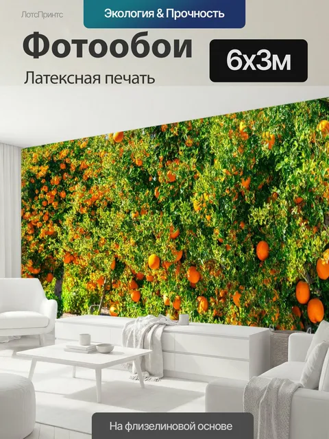 600 × 300 см · Латексная печать