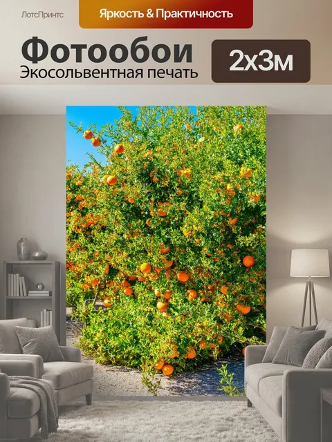 200 × 300 см · Экосольвентная печать