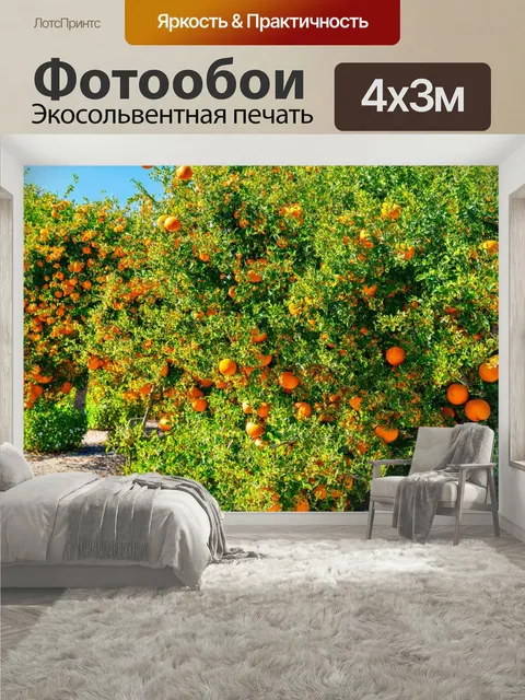 400 × 300 см · Экосольвентная печать