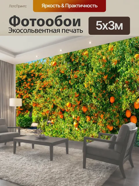 500 × 300 см · Экосольвентная печать