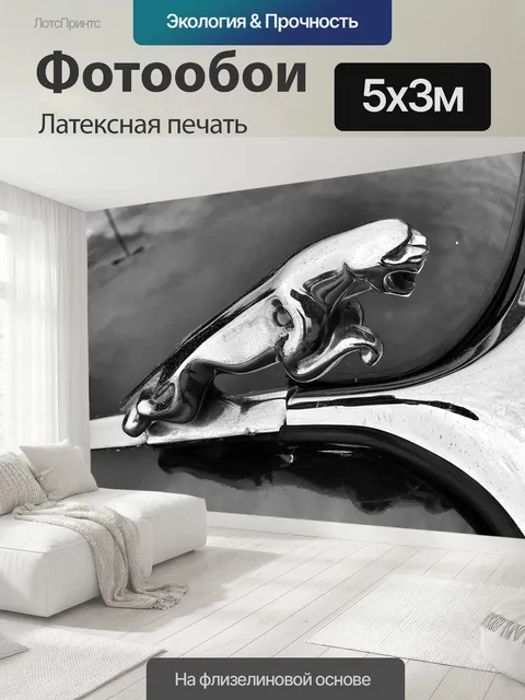 500 × 300 см · Латексная печать