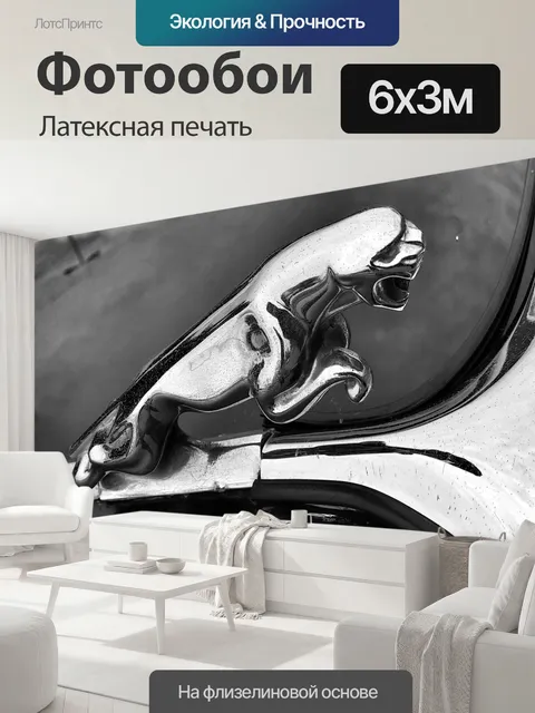 600 × 300 см · Латексная печать
