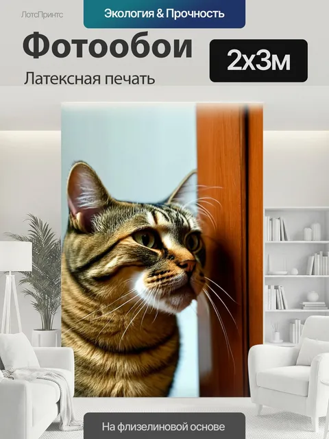 200 × 300 см · Латексная печать