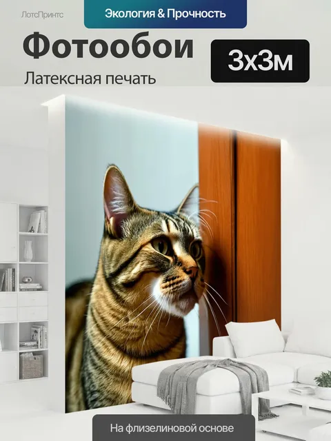 300 × 300 см · Латексная печать