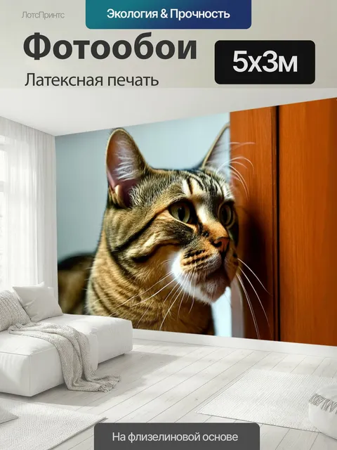 500 × 300 см · Латексная печать