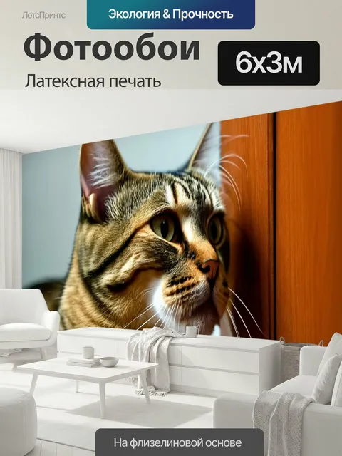 600 × 300 см · Латексная печать