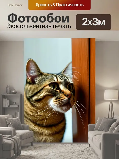200 × 300 см · Экосольвентная печать