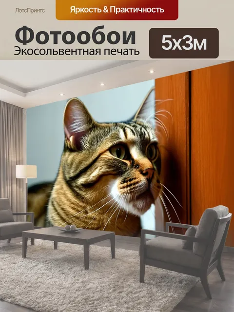 500 × 300 см · Экосольвентная печать