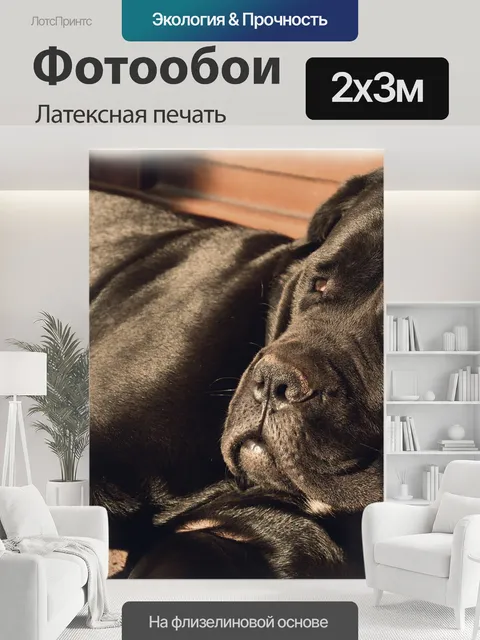200 × 300 см · Латексная печать