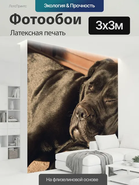 300 × 300 см · Латексная печать
