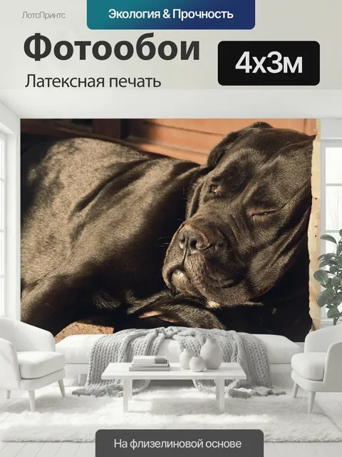 400 × 300 см · Латексная печать