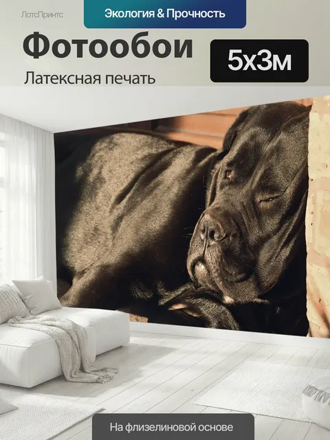 500 × 300 см · Латексная печать