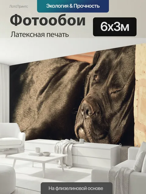 600 × 300 см · Латексная печать