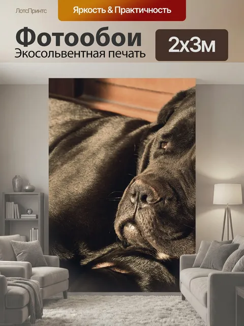 200 × 300 см · Экосольвентная печать