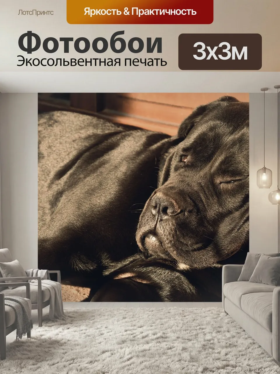Фотообои Собака, похмелье, кане корсо