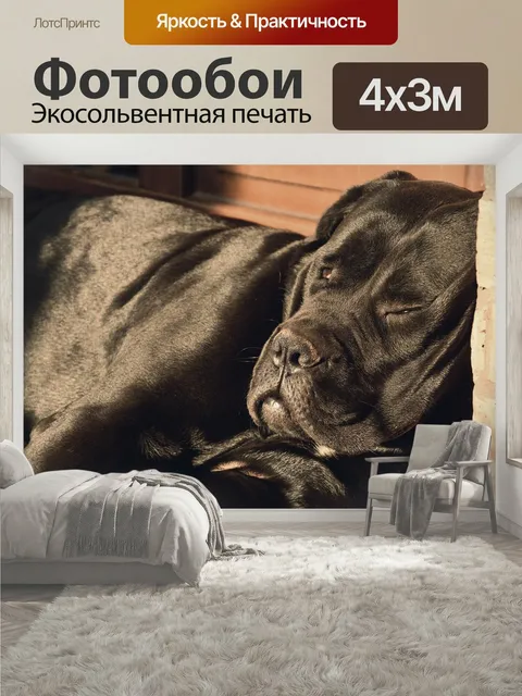 400 × 300 см · Экосольвентная печать