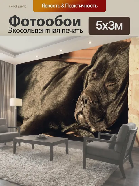 500 × 300 см · Экосольвентная печать