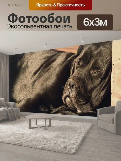600 × 300 см · Экосольвентная печать