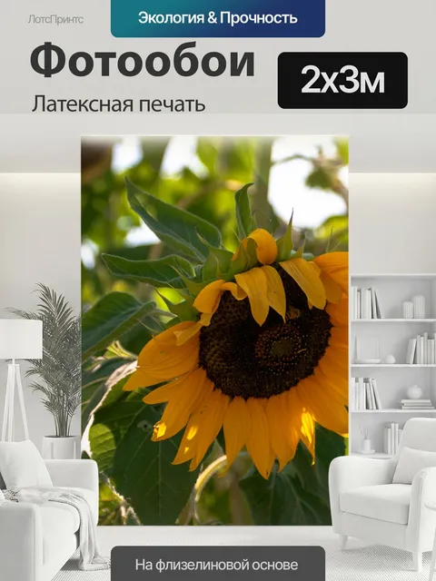 200 × 300 см · Латексная печать