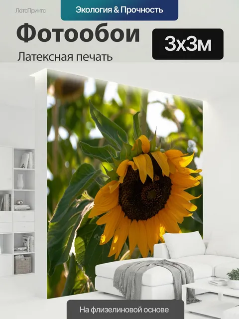 300 × 300 см · Латексная печать