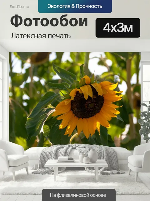 400 × 300 см · Латексная печать