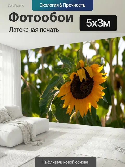 500 × 300 см · Латексная печать
