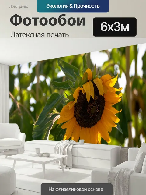 600 × 300 см · Латексная печать