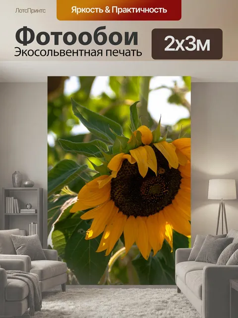 200 × 300 см · Экосольвентная печать