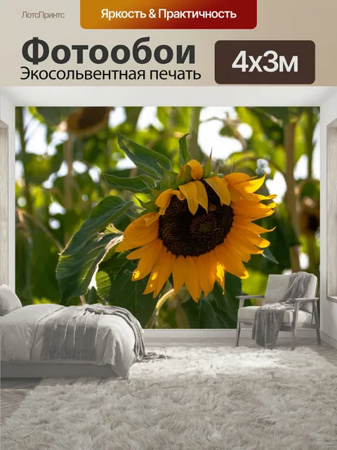 400 × 300 см · Экосольвентная печать