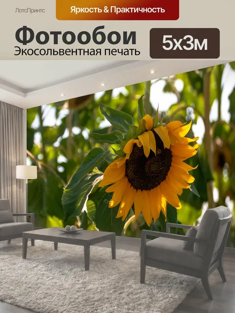 Фотообои Гигантский подсолнух яркий большой