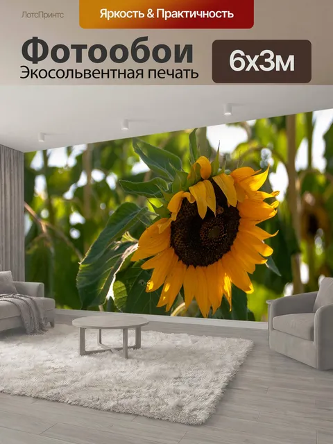600 × 300 см · Экосольвентная печать