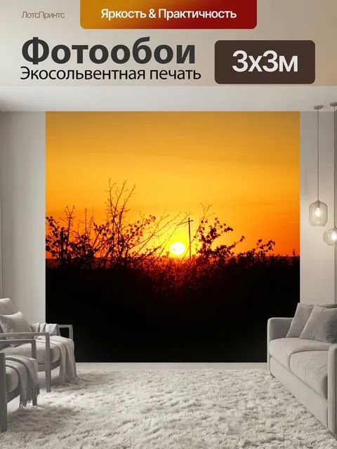 Фотообои Закат, дача, весна