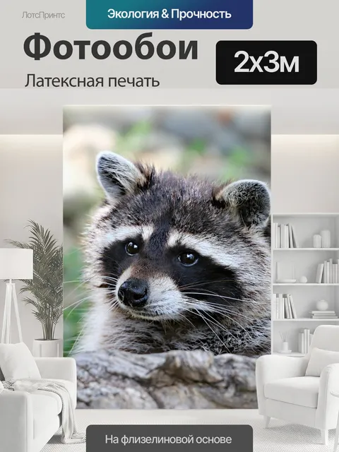 200 × 300 см · Латексная печать