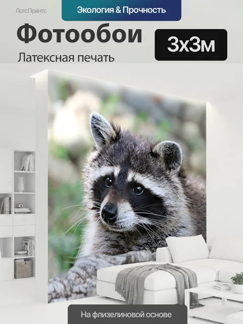 300 × 300 см · Латексная печать