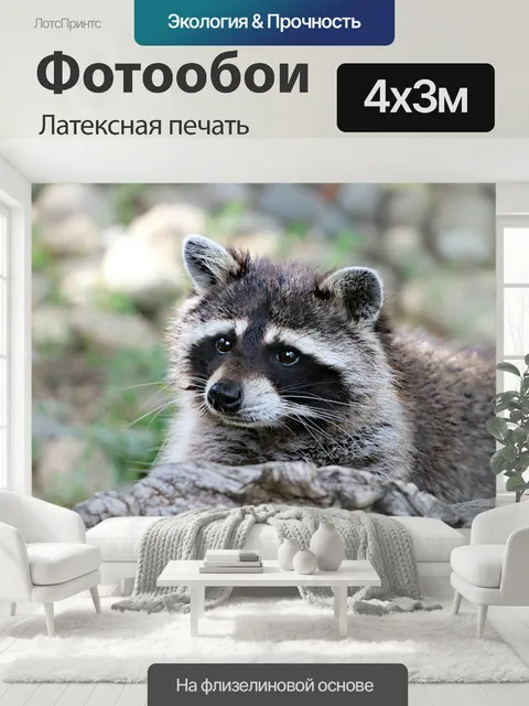 400 × 300 см · Латексная печать